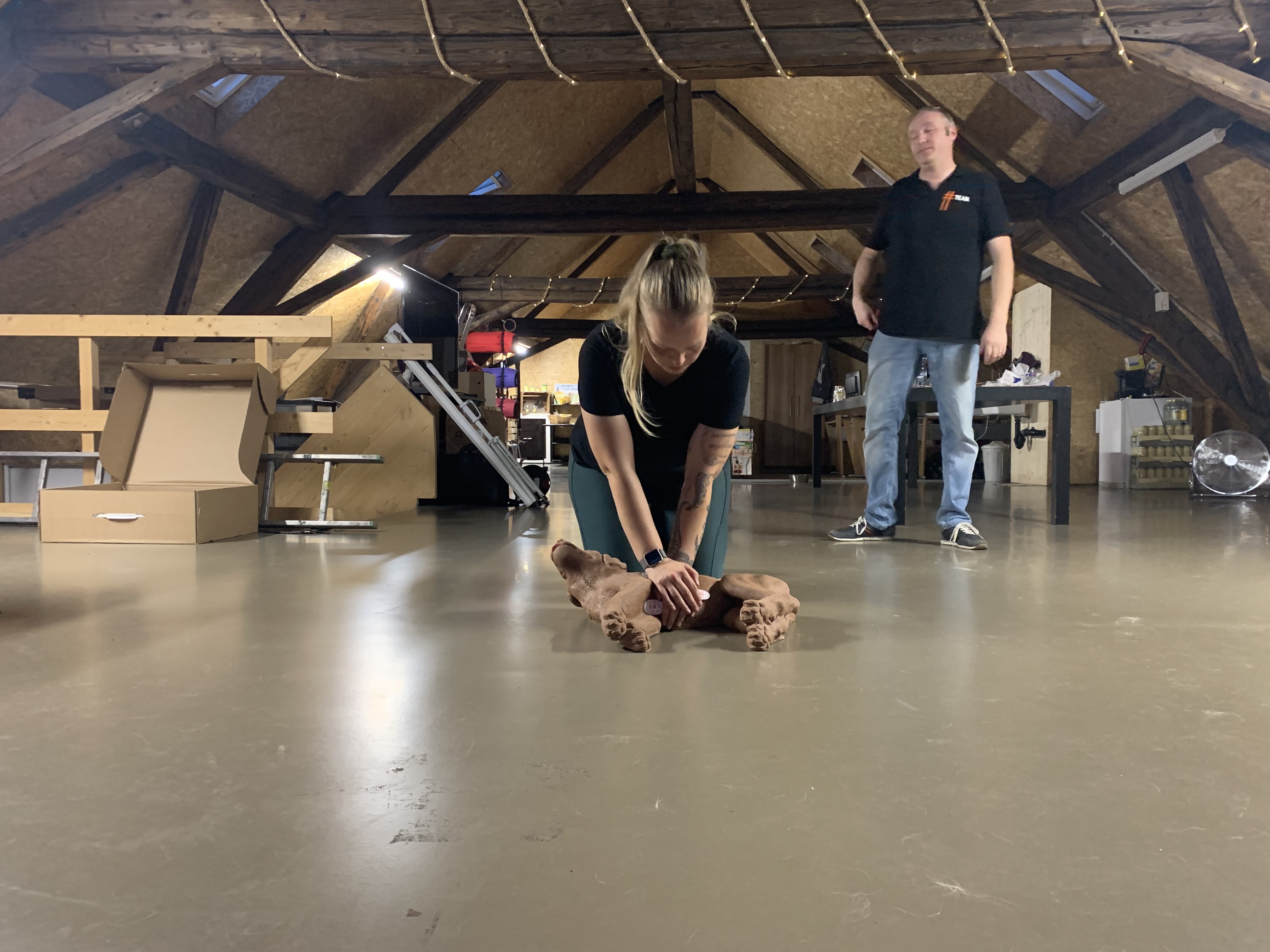 Erste Hilfe am Hund – warum eigentlich nicht Pflicht?